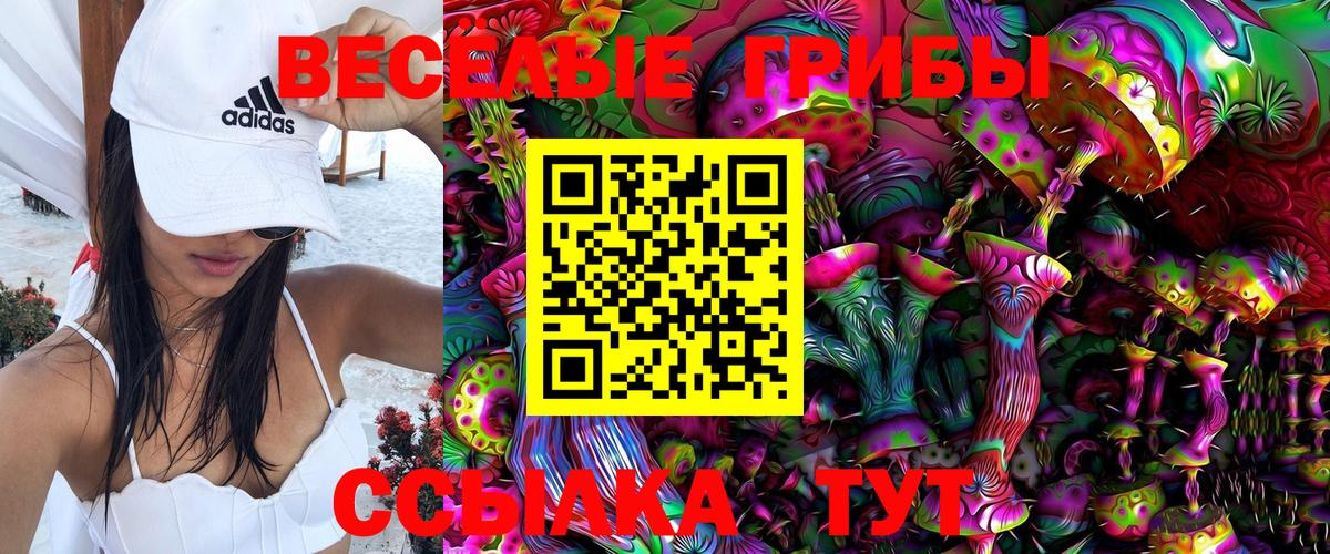 Псилоцибиновые грибы Psilocybe  Псилоцибиновые грибы мухоморы  Тюмень  Вход с VPN 