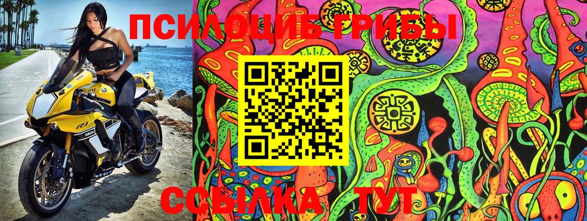 Галлюциногенные грибы Psilocybe Тюмень